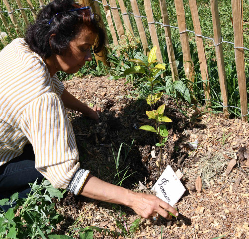 Recherche Agro-Agri ©3M