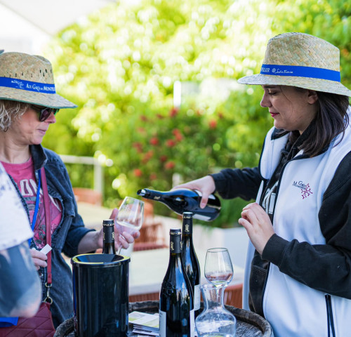 Balade Gastronomique Aux Grés de Montpellier 2025